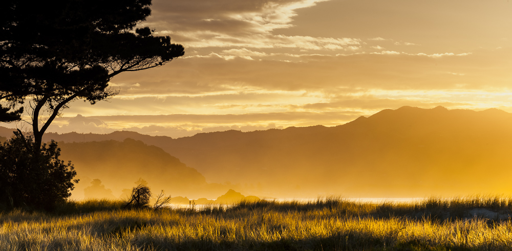9. Platz Hans Kerler